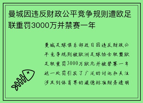 曼城因违反财政公平竞争规则遭欧足联重罚3000万并禁赛一年