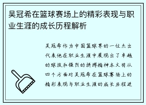 吴冠希在篮球赛场上的精彩表现与职业生涯的成长历程解析
