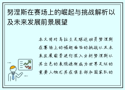 努涅斯在赛场上的崛起与挑战解析以及未来发展前景展望