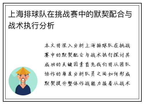 上海排球队在挑战赛中的默契配合与战术执行分析