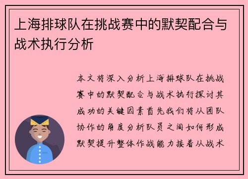 上海排球队在挑战赛中的默契配合与战术执行分析