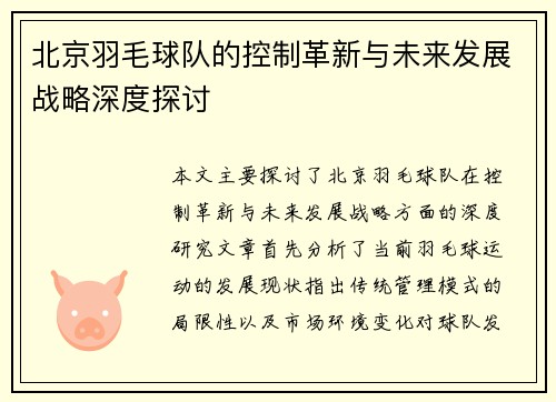北京羽毛球队的控制革新与未来发展战略深度探讨