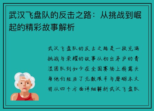 武汉飞盘队的反击之路：从挑战到崛起的精彩故事解析