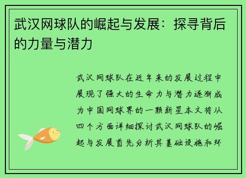 武汉网球队的崛起与发展：探寻背后的力量与潜力